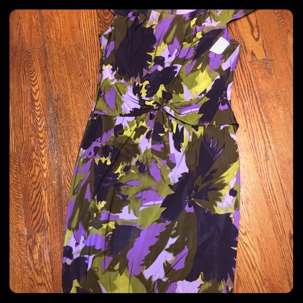 Never worn David Meister dress